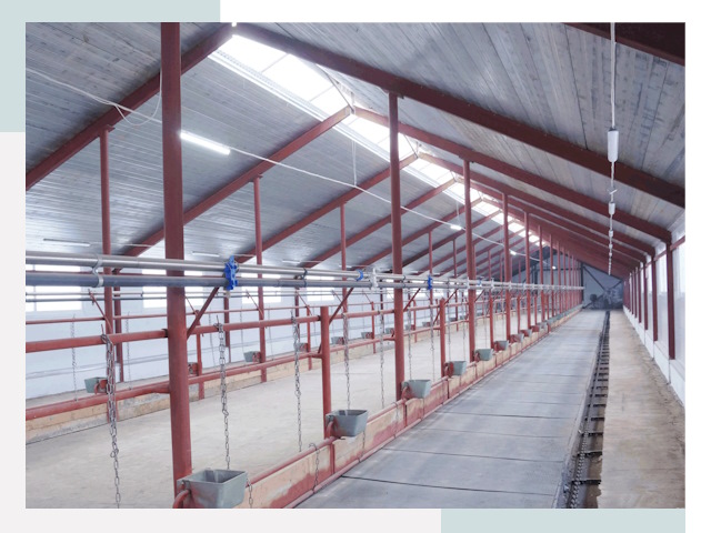 Строительство коровников в Конаково от 608 руб.