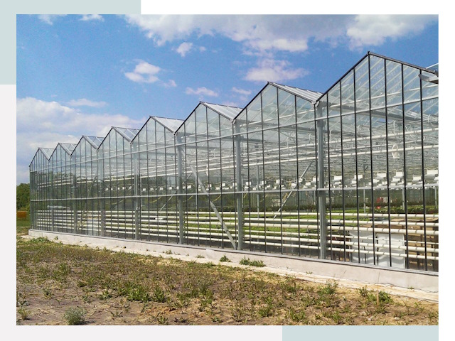 Строительство теплиц в Конаково от 608 руб. за м²