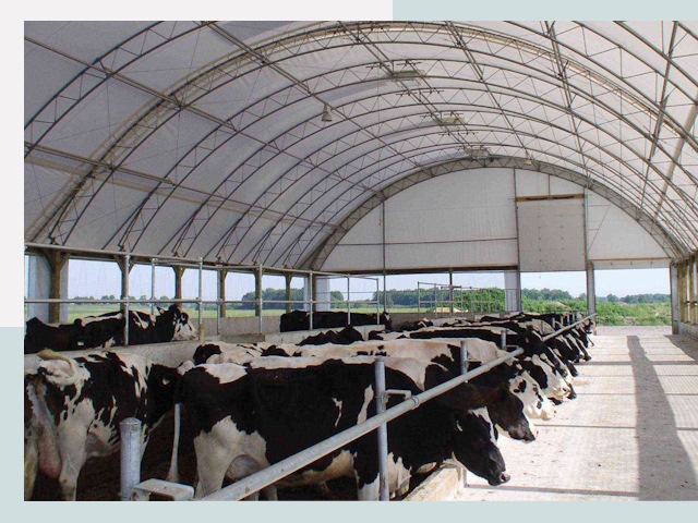 Тентовые коровники в Конаково
